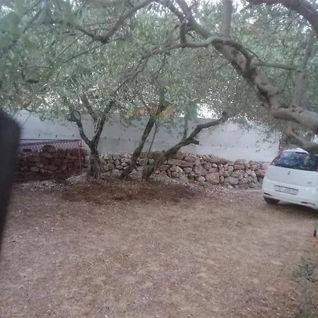 Zora Tribunj (Sibenik-Knin)